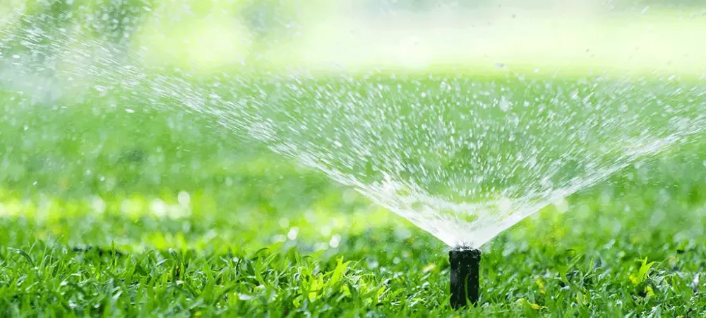Sprinkler