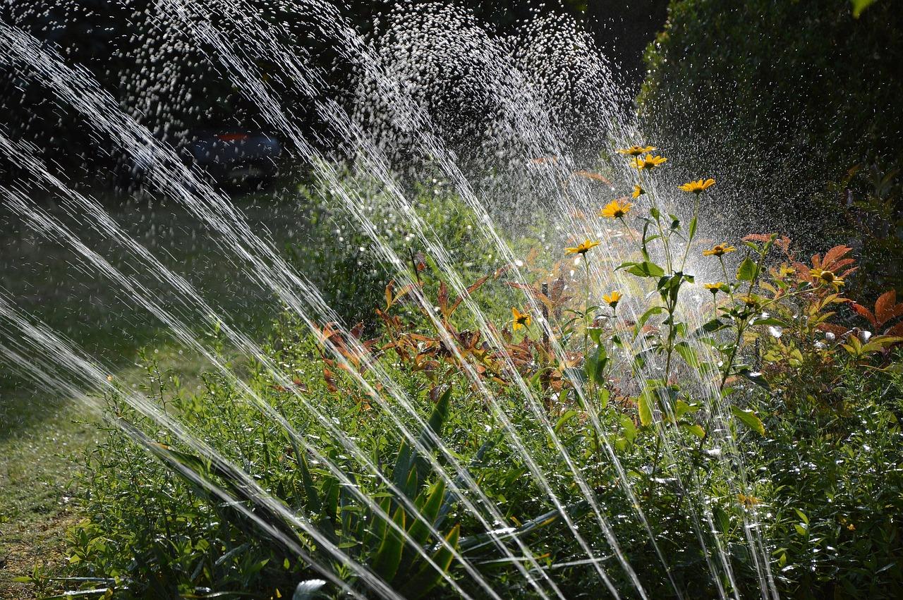 Sprinkler Watering Landscape