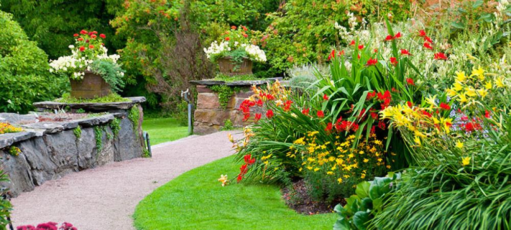 Green, Thriving Landscape